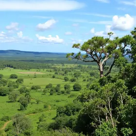 Cerrado em Pé