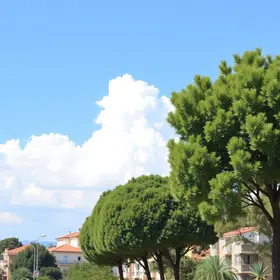 IPTU Caxias 2025