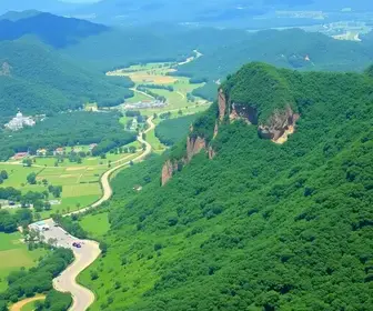 Bolsa Verde