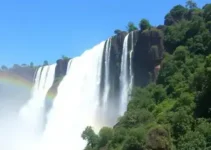 Detran Foz do Iguaçu