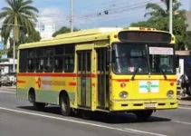 ônibus grátis Porto Velho