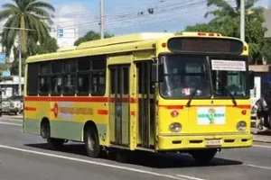 ônibus grátis Porto Velho