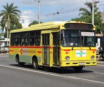 ônibus grátis Porto Velho